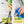 Load image into Gallery viewer, ATG Sparset Lack - Pflege Duo - 1 Cleaner Wax und 1 Nano-Lackversiegelung Anwendungsschritte
